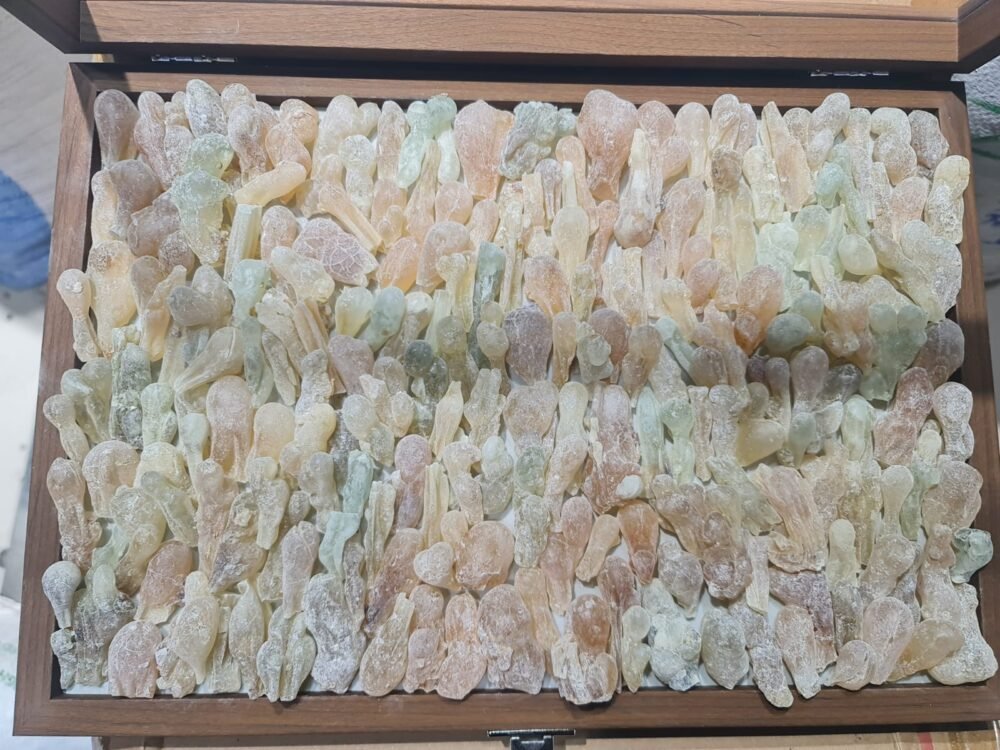لبان الذكر ملكي فاخر
