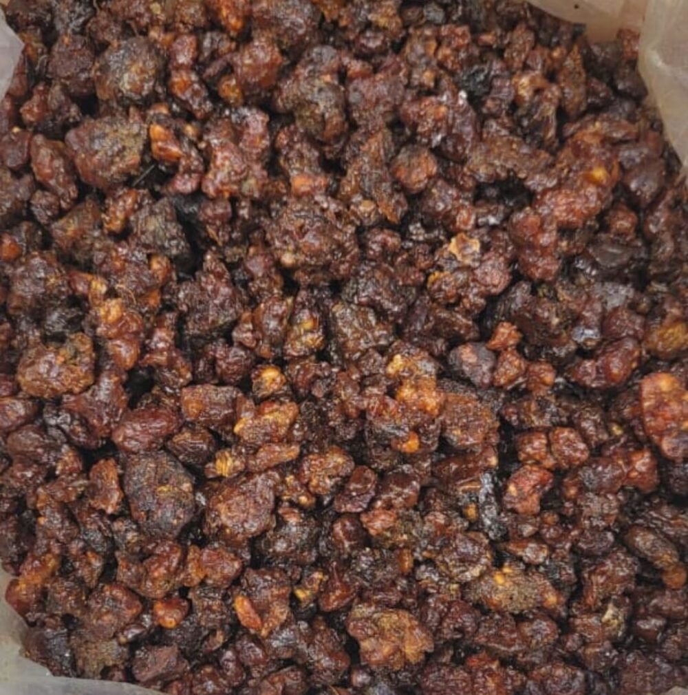 مر حجازي (يمني)